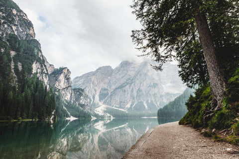 How to Give Back to The Environment with Your Photography Business